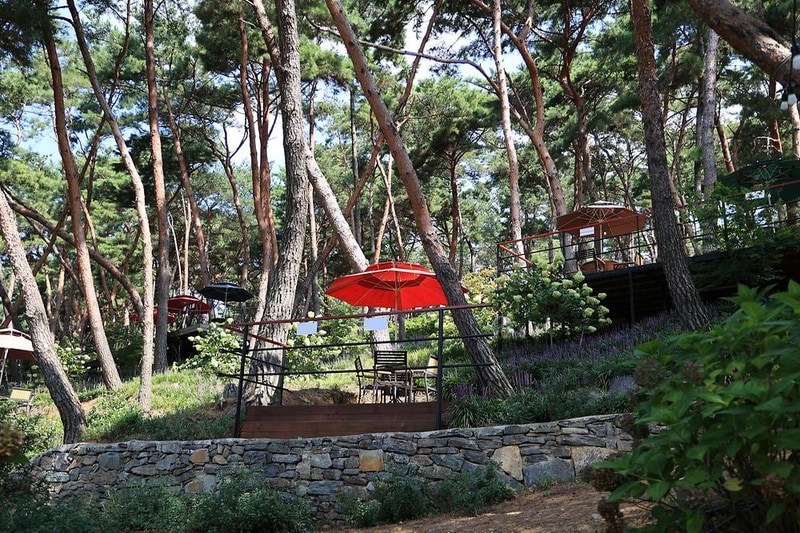 청춘별곡 시설 사진 6