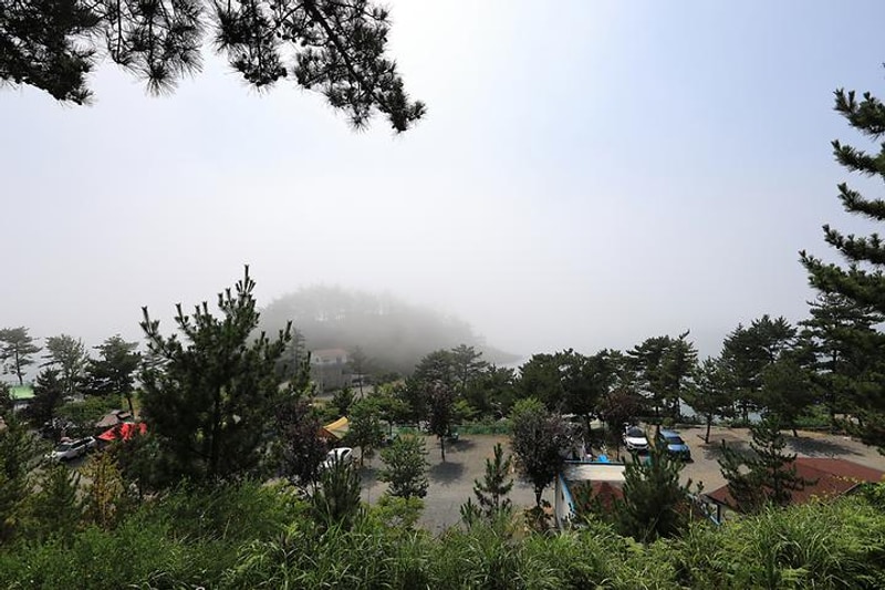 태안둘레길캠핑장 대표 사진
