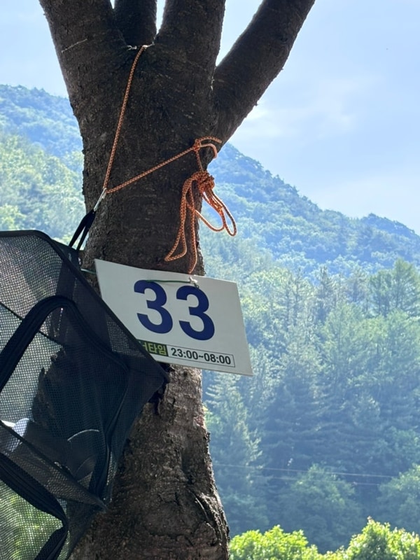 [완주] 래미안밸리 캠핑장, 33번싸이트, 나무그늘, 계곡 캠핑장