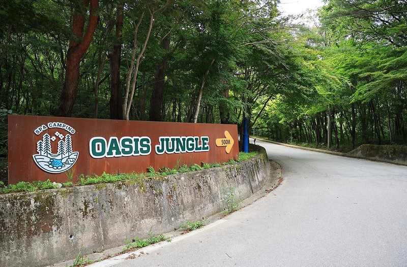 오아시스정글 시설 사진 17
