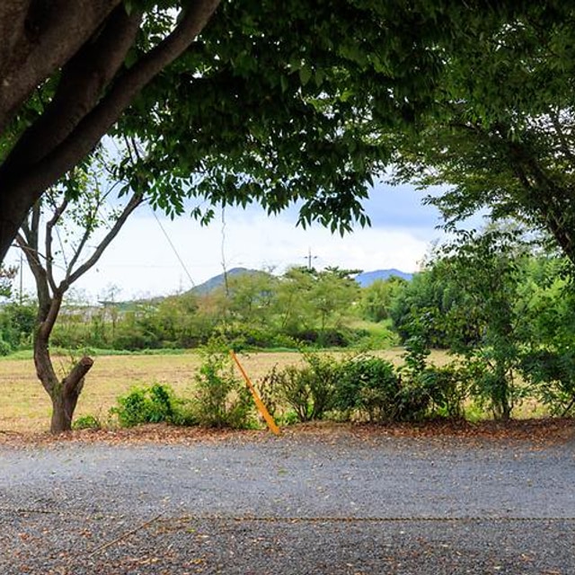 아름드리 캠핑장