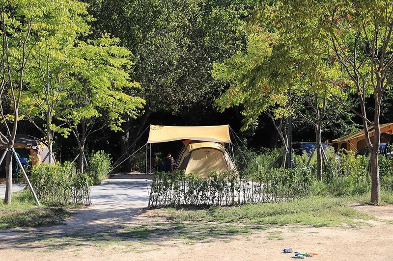 초안산캠핑장 시설 사진 30