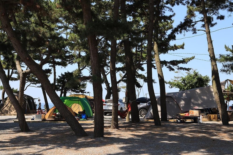 몽산포오토캠핑장 시설 사진 15