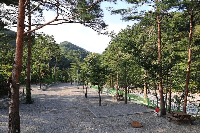 법수치오토캠핑장 시설 사진 12