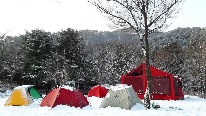 들꽃여울캠핑장 시설 사진 10