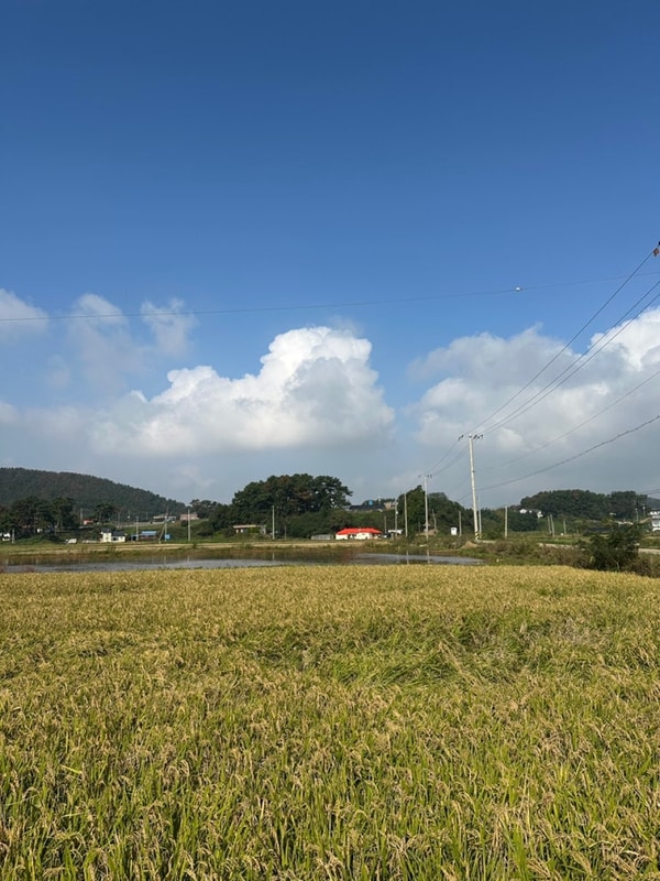 [Travel] 태안캠핑드림 캠핑장