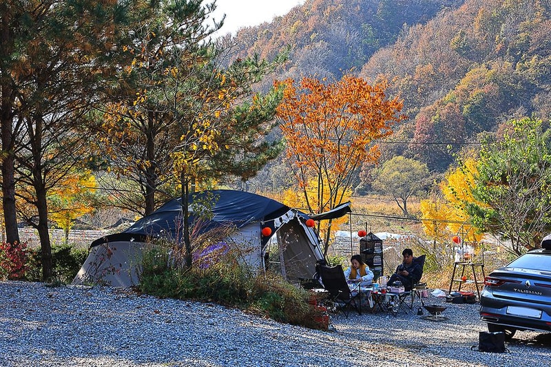 라곰 시설 사진 20