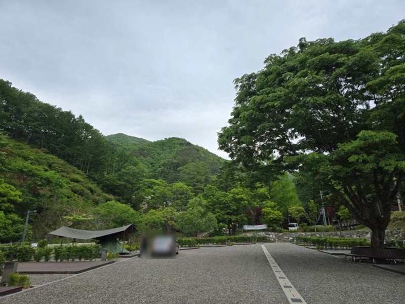 임실 성수산 왕의숲 국민여가캠핑장 2박3일 후기