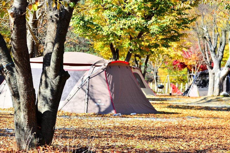 별빛오토캠핑장 시설 사진 3