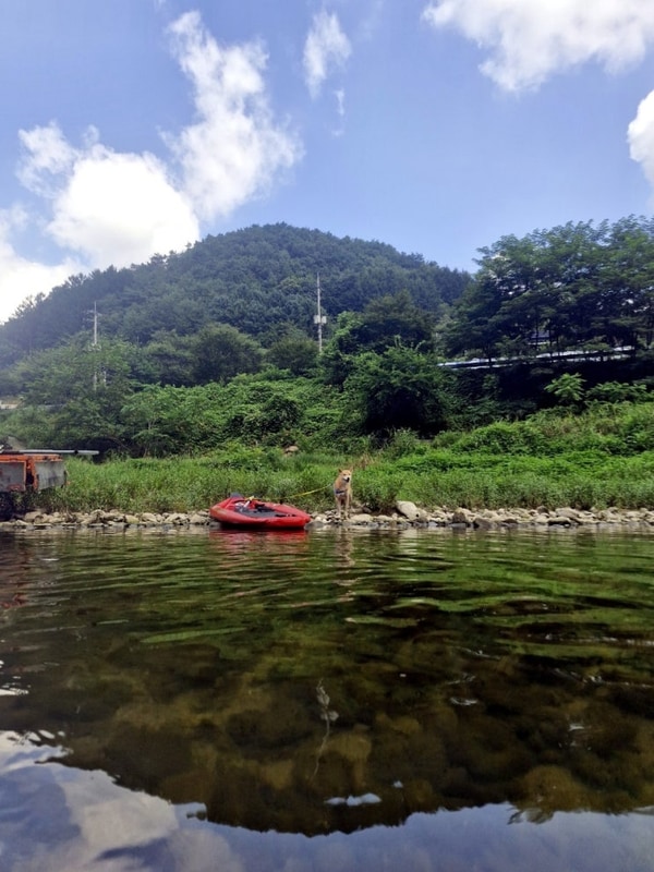 [평창] 뇌운계곡글램핑/뇌운계곡/애견동반여행