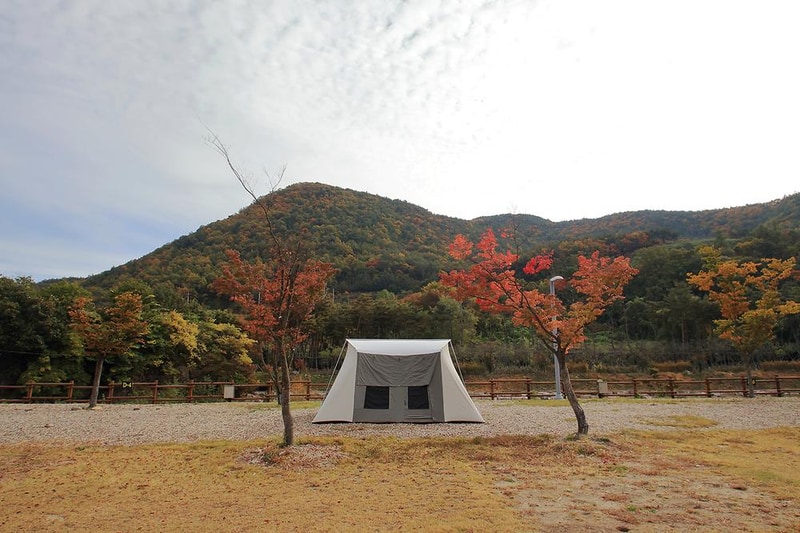 성덕댐 수달 캠핑장 시설 사진 18