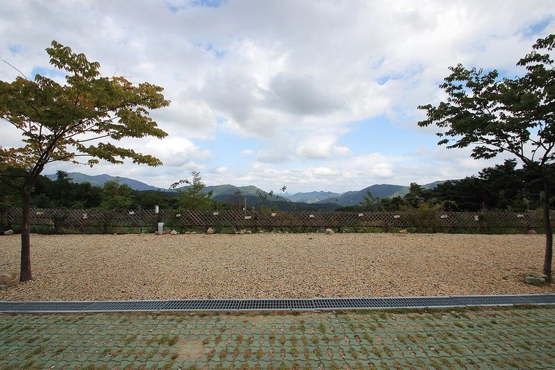 한티별빛아래관광농원 야영장 시설 사진 1