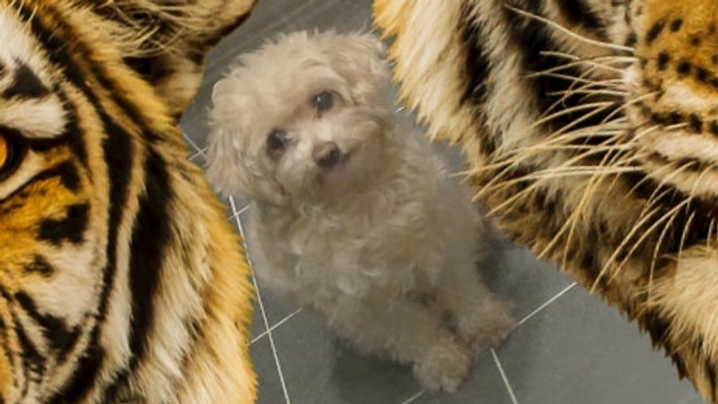 오후 공주 마곡사 근처 공주 계곡 이레캠핑장, 마곡사ic에서...