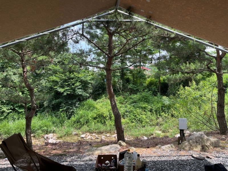 원주 한다리골 캠핑장 계곡뷰 타프존 F 후기 애견동반 가능