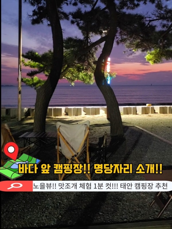 태안 몽산포 오토 캠핑장 추천 바다뷰 명당자리 맛조개 체험 후기