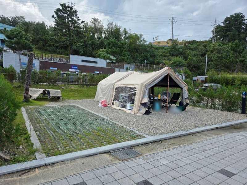 삼척 장호비치캠핑장, 애견동반 캠핑 일기