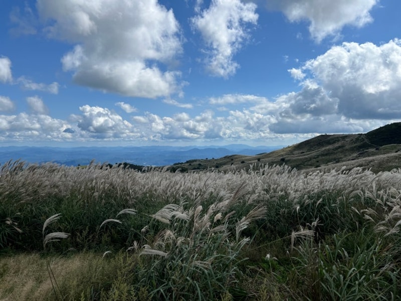 경남_18개월 아기랑 합천 7박... 카트투어, 황매산 숲속야영장)