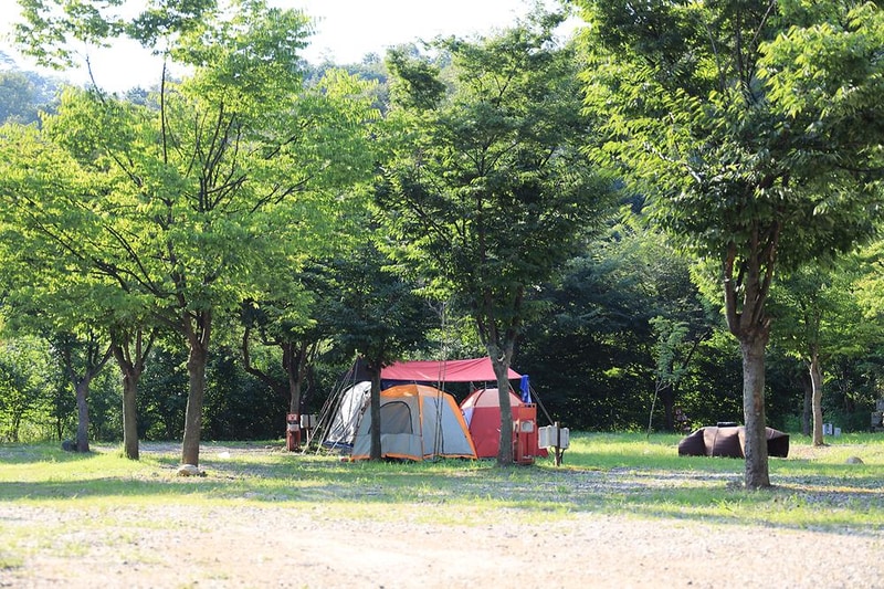돌산캠핑장 시설 사진 1