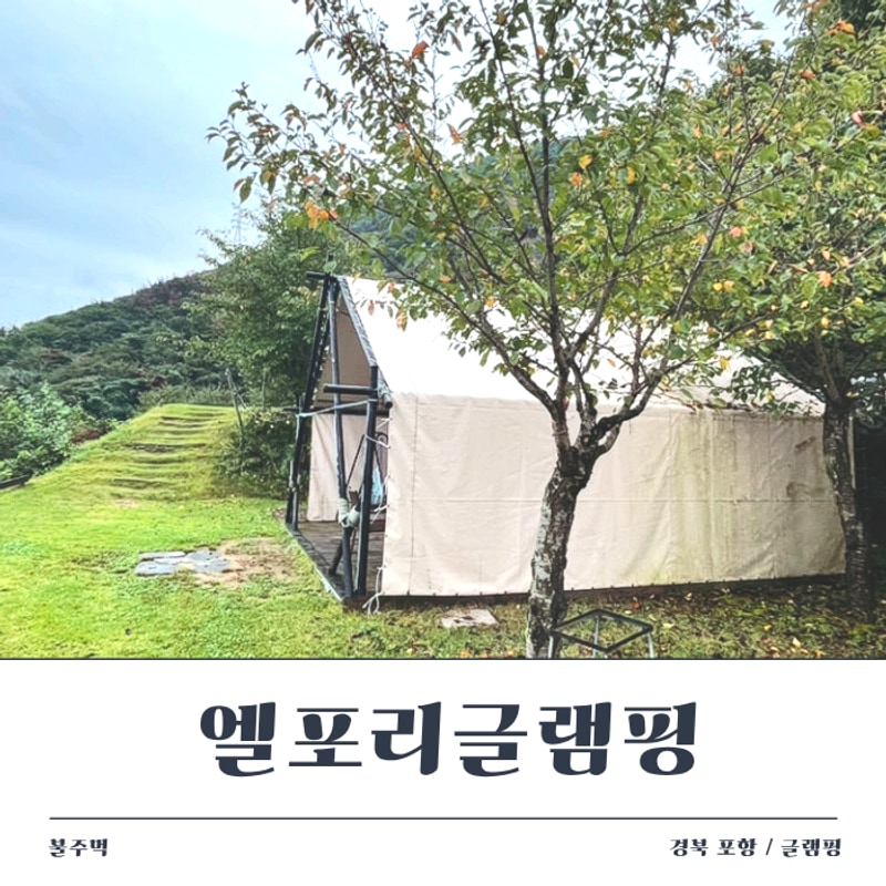 경주 근교 가족 글램핑 추천 / 포항 엘포리 글램핑장 리뷰