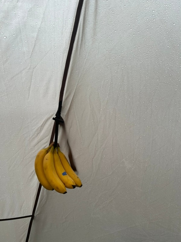 (4) 태백 - 절골힐링캠핑장 캠핑 Part.1