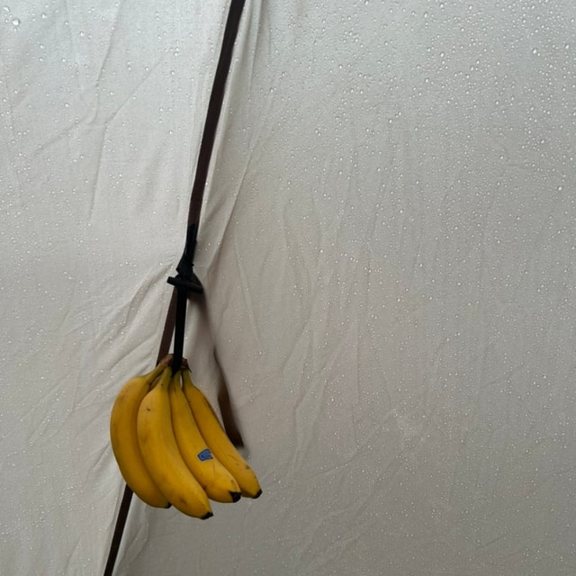 절골힐링캠핑장 대표 사진