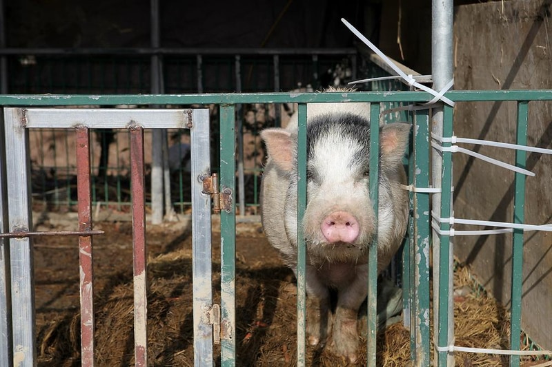 한터팜오토캠핑장 시설 사진 8