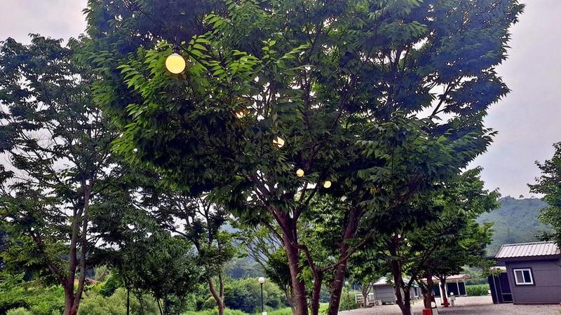 숲캠핑장 시설 사진 17