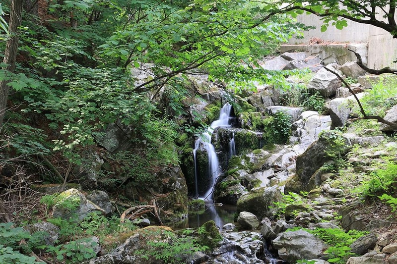 숲속다람쥐 캠프 시설 사진 13