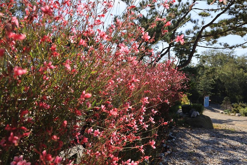 검디 관광농원 야영장 시설 사진 25