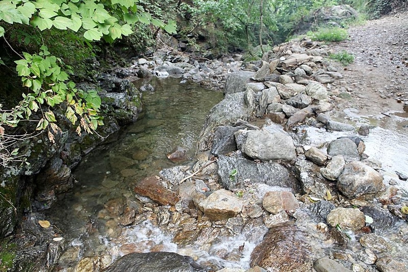 쿼크밸리캠프 야영장 시설 사진 25