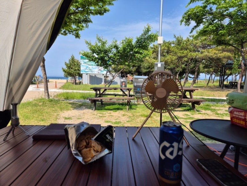 고성 캠핑장 추천 :: 송지호오토캠핑장 ** 바닷가 도보 1분 컷...