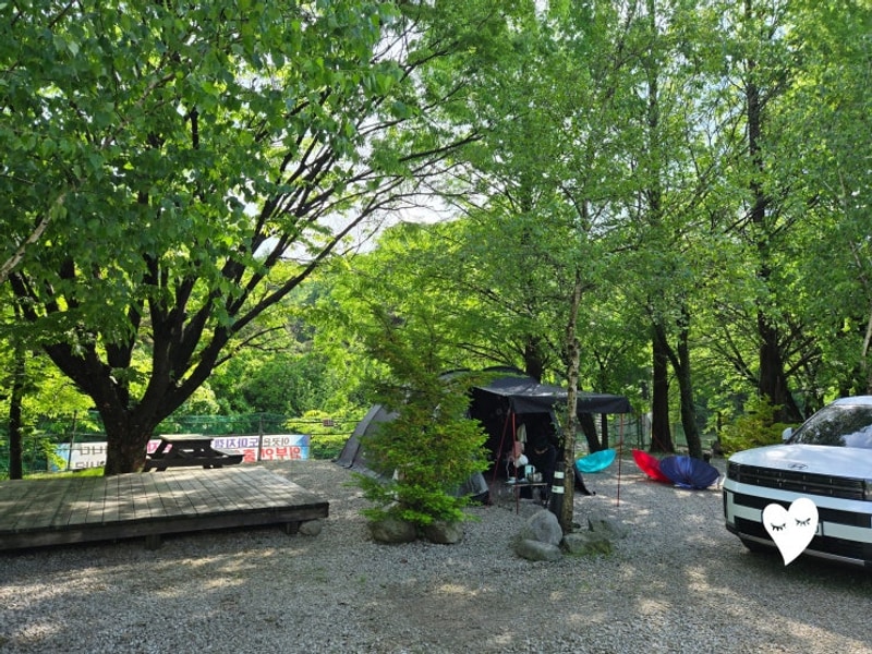 포천 도마치 캠핑장 25.05.16-05.18
