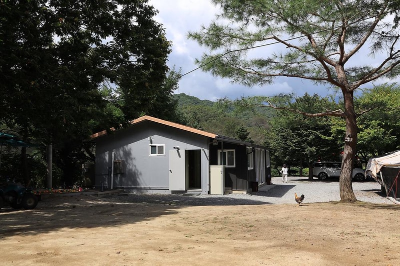 다 그린 시설 사진 13