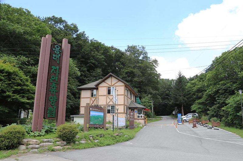 국립용대자연휴양림 대표 사진