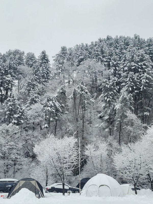 캠프올모 - 설경 가평 캠핑장 겨울캠핑 추천 내돈내여행