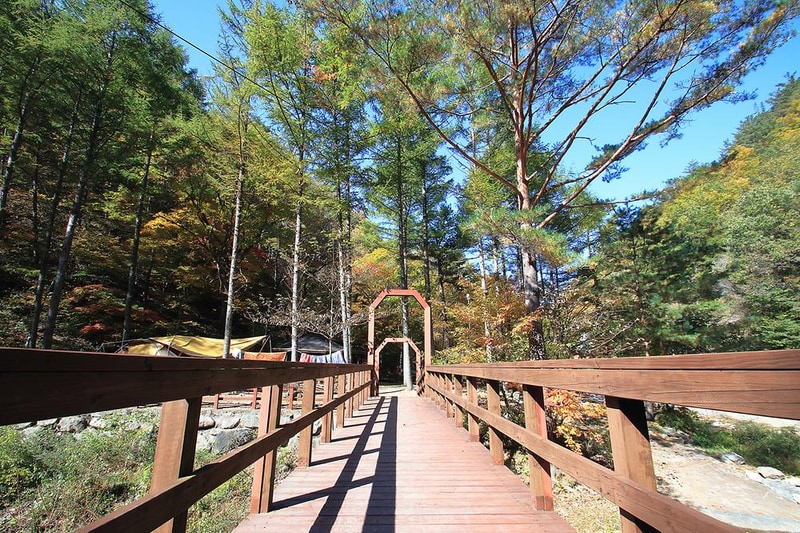 통고산 자연휴양림야영장 시설 사진 5