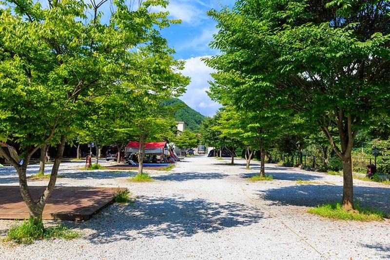 캠프더포레 대표 사진