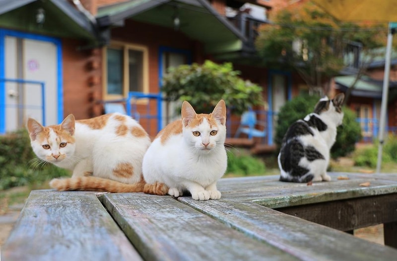 토로캠핑 시설 사진 12