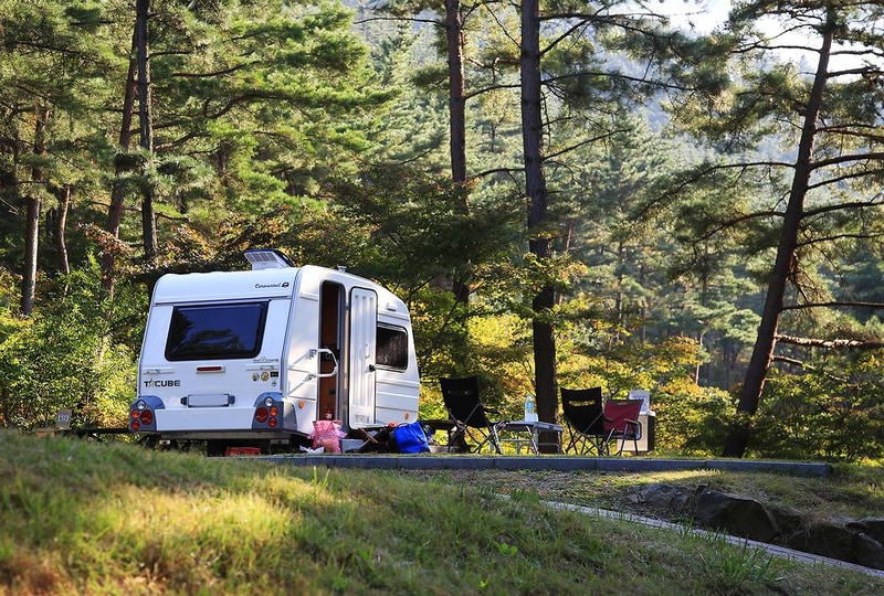 희리산해송자연휴양림 자동차야영장 시설 사진 7