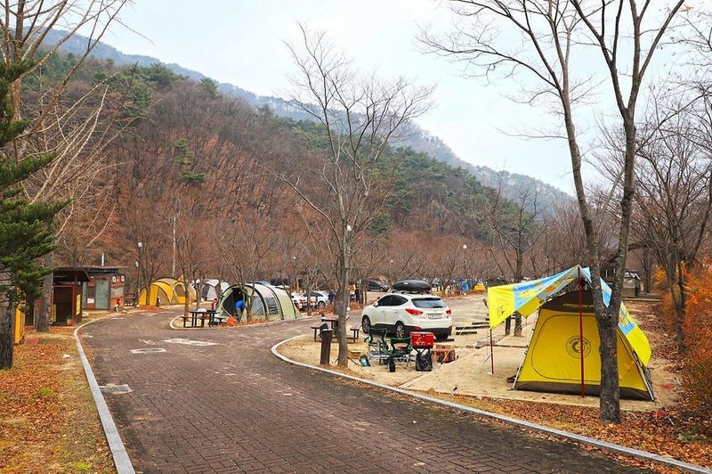 구룡자동차야영장(치악산국립공원) 시설 사진 5