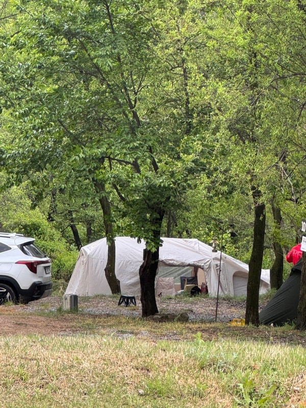 경북 봉화 숲속 캠핑장 깔끔한 별빛 캠핑 추천 (B-숲)