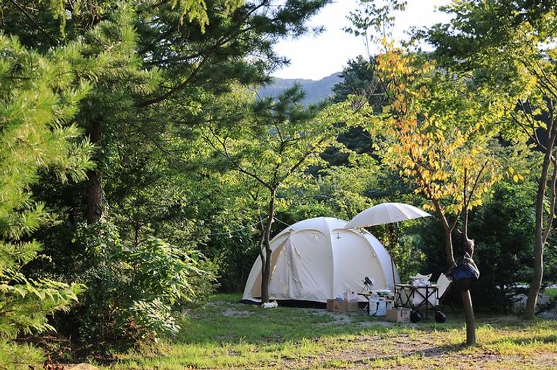 포천캠핑마을 대표 사진
