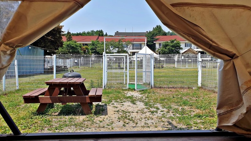 골드펫리조트 시설 사진 5