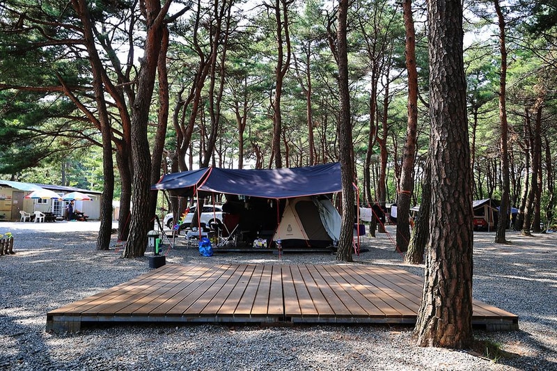 양양 솔바다 캠핑장 시설 사진 8