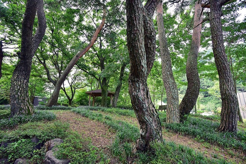 천하장사골야영장 시설 사진 11