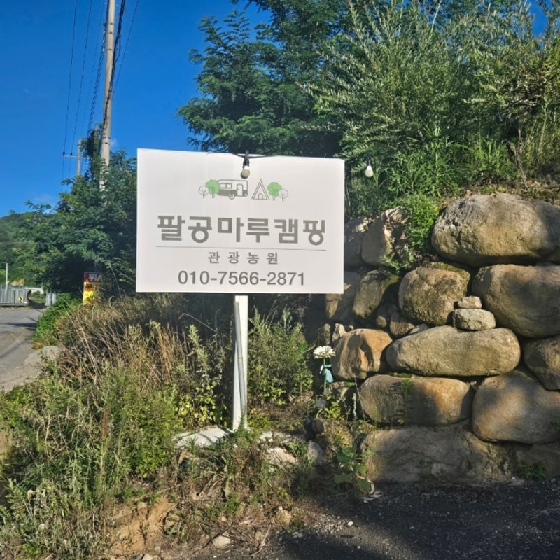 군위  팔공마루 오토 캠핑 앤 캠프닉 캠핑장 야영장  방문  리뷰