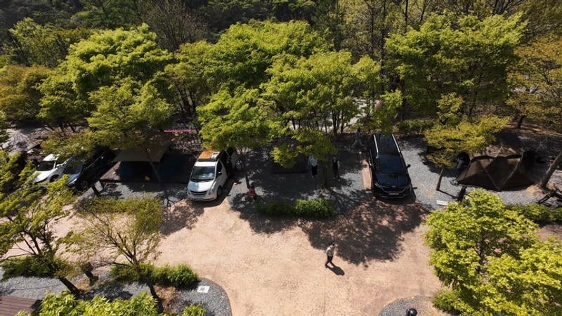 173번째 단양 천동오토캠핑장(2025.04.25~2025.04.27)