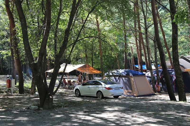 갈천 오토캠핑장 대표 사진