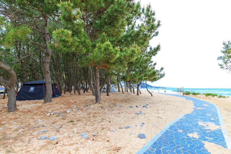 화진해수욕장 마을번영회 야영장 시설 사진 3