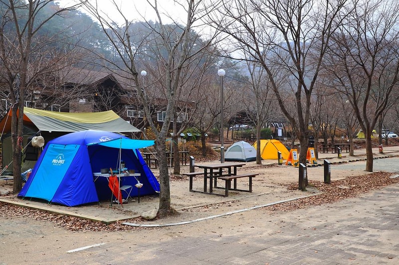 구룡자동차야영장(치악산국립공원) 시설 사진 15